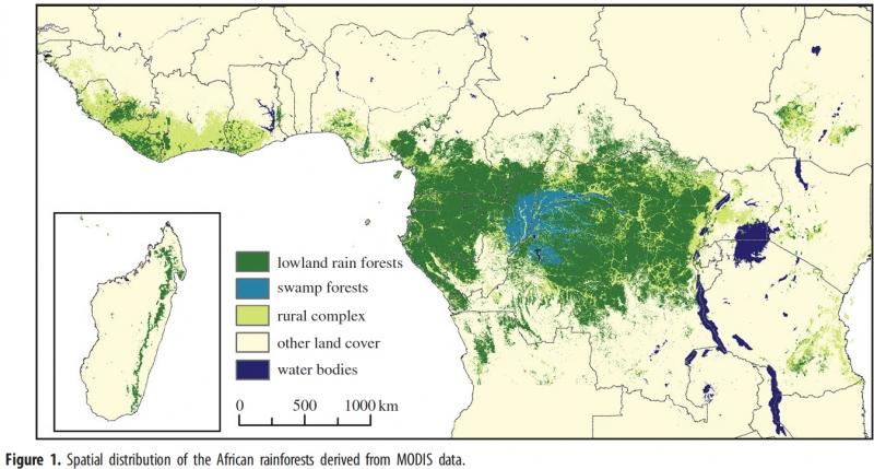 Vị trí rừng Congo (phần màu xanh)