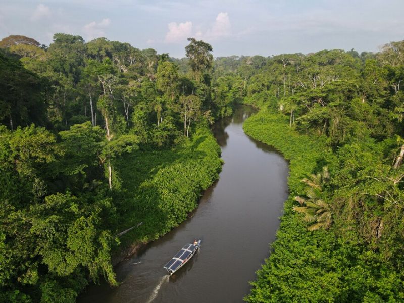 Rừng Amazon