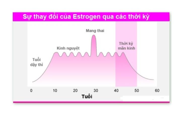 Sự thay đổi nội tiết tố đột ngột là nguyên nhân rụng tóc