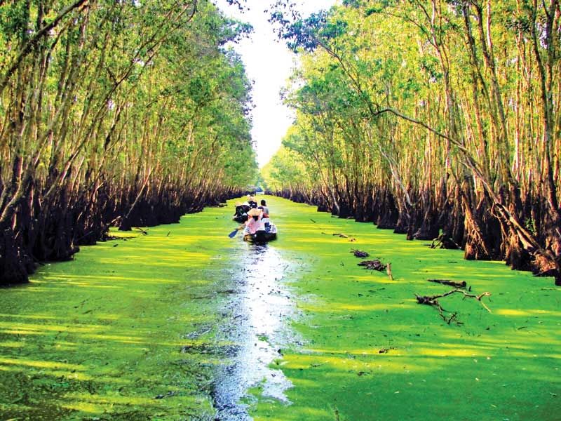 Rừng đẹp Việt Nam: Khám phá vẻ đẹp hùng vĩ của những tán cây rợp bóng và những dòng sông trong xanh tại rừng đẹp Việt Nam. Đây là nơi tuyệt vời để thư giãn, tìm hiểu và khám phá những giá trị thiên nhiên hữu tình của đất nước. Hãy cùng chúng tôi đắm mình trong khoảnh khắc đầy cảm xúc này nhé!