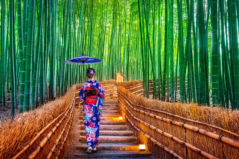 Rừng trúc Arashiyama, Nhật Bản