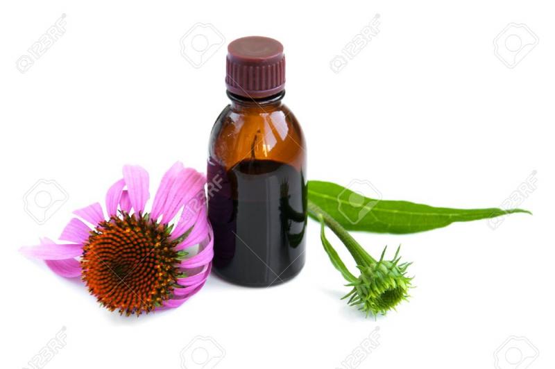 Rượu hoa Echinacea (hoa cúc tím)