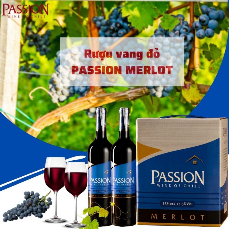 Rượu vang Passion