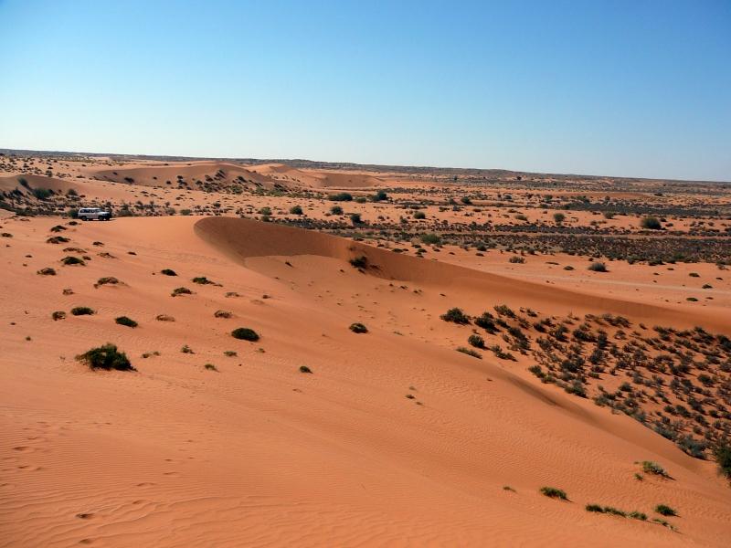 Sa mạc Kalahari - Diện tích 930.000 km vuông