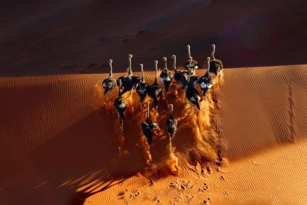 Sa mạc Namib