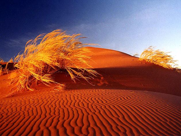 Sa mạc Namib, Namibia