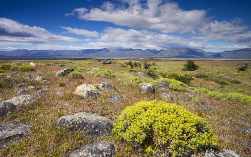 Sa mạc Patagonia