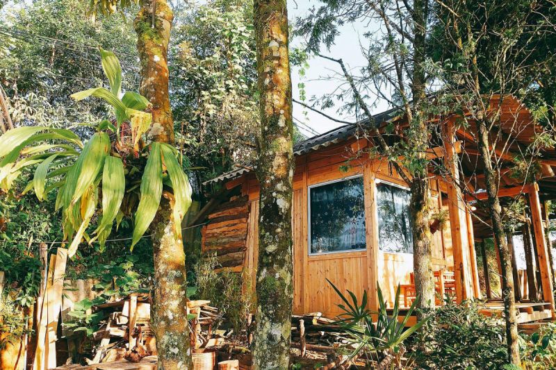 Sa Pa Jungle Homestay