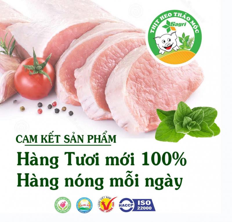 Thịt heo sạch Sagrifood