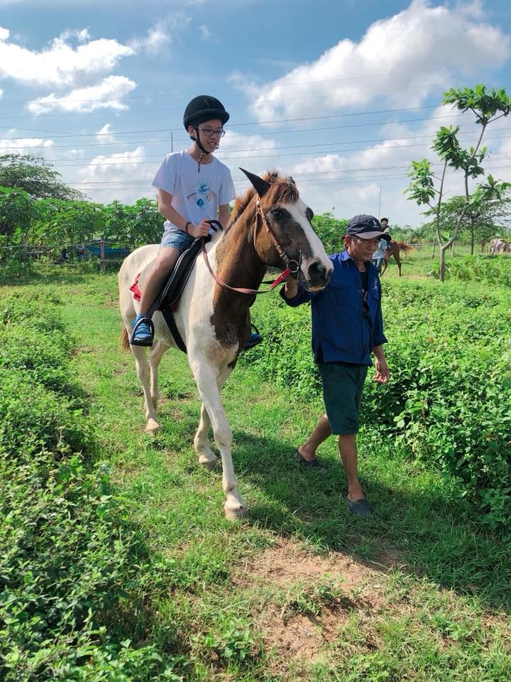 Saigon Farm Horse