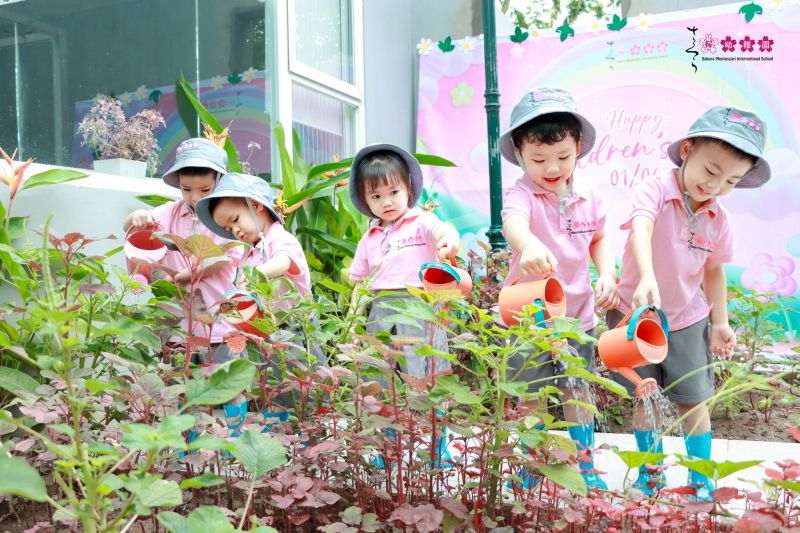 Trường mầm non Sakura Montessori