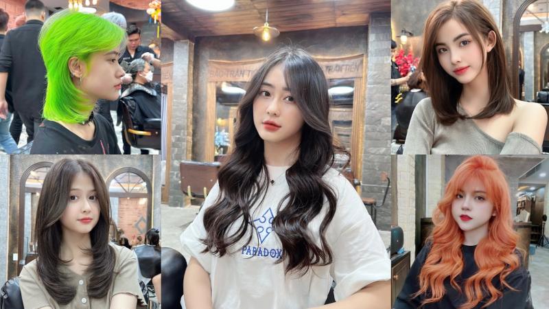 Salon Bắc Trần Tiến