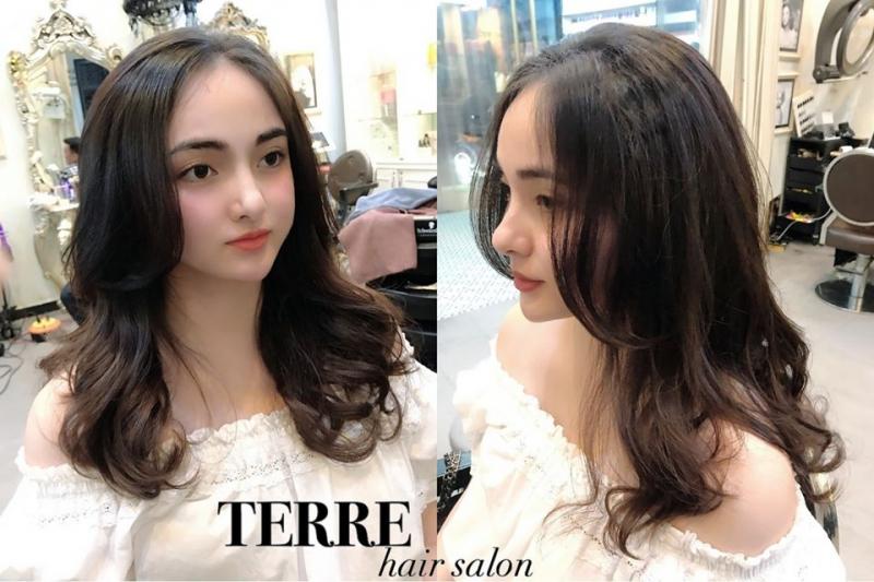 Salon Terre