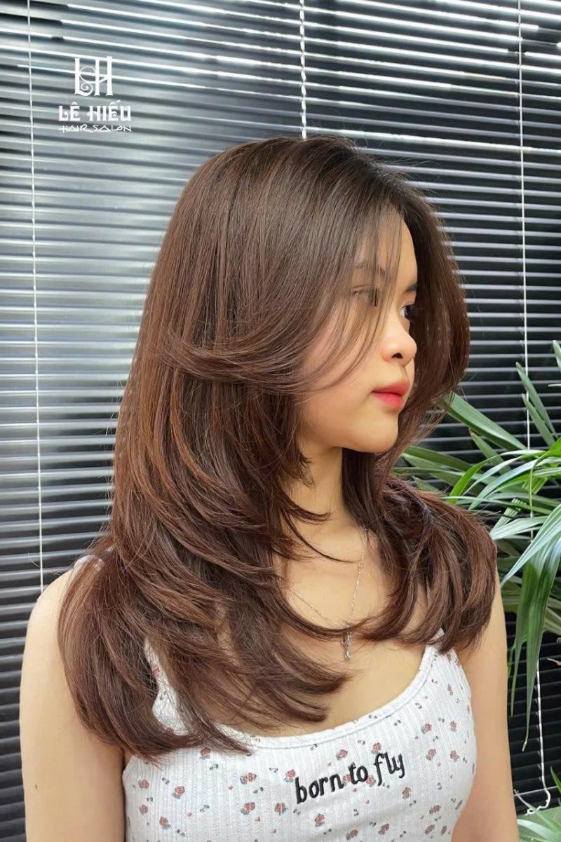 Hệ thống salon tóc đẹp Lê Hiếu