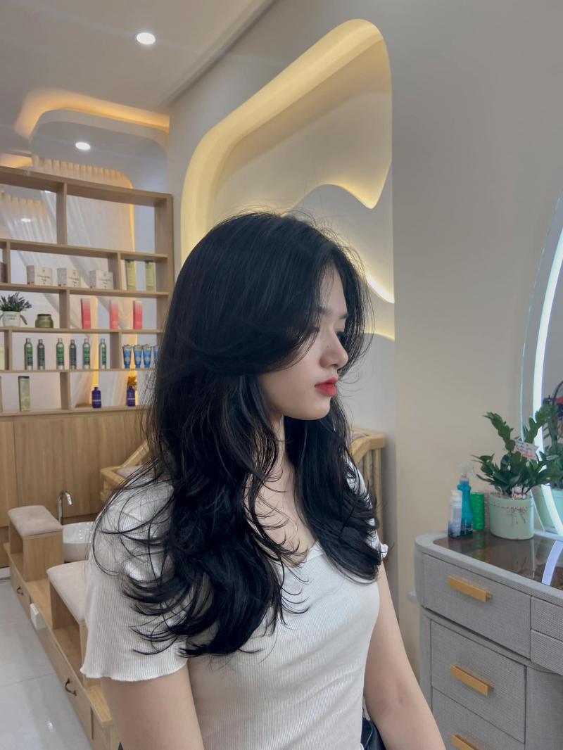 Salon Yến