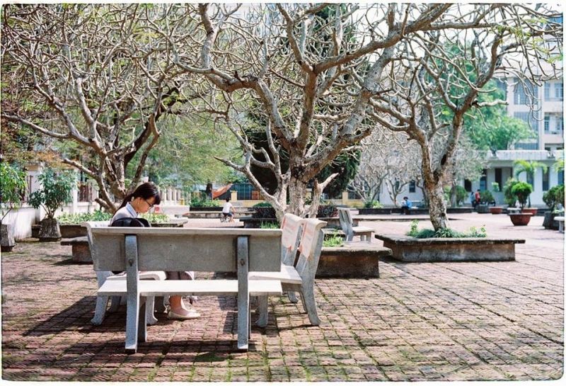 Top 8 góc chụp ảnh sống ảo siêu đẹp trong khuôn viên Đại học Quốc gia Hà Nội