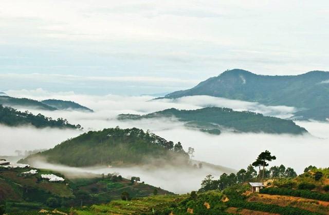 Săn mây sáng sớm