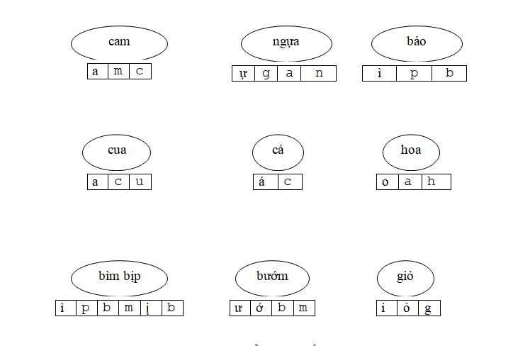 Sắp xếp cho đúng với mẫu