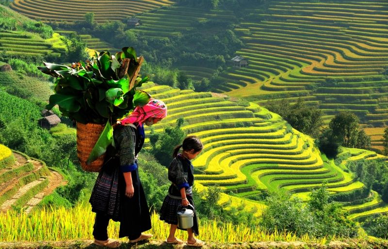 Top 12 Địa điểm có phong cảnh đẹp nhất Việt Nam 