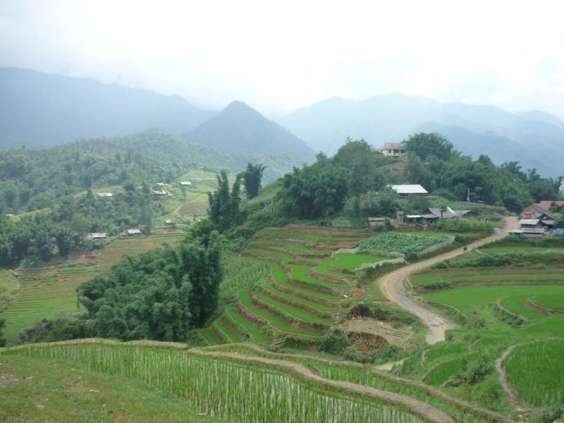 Ruộng bậc thang