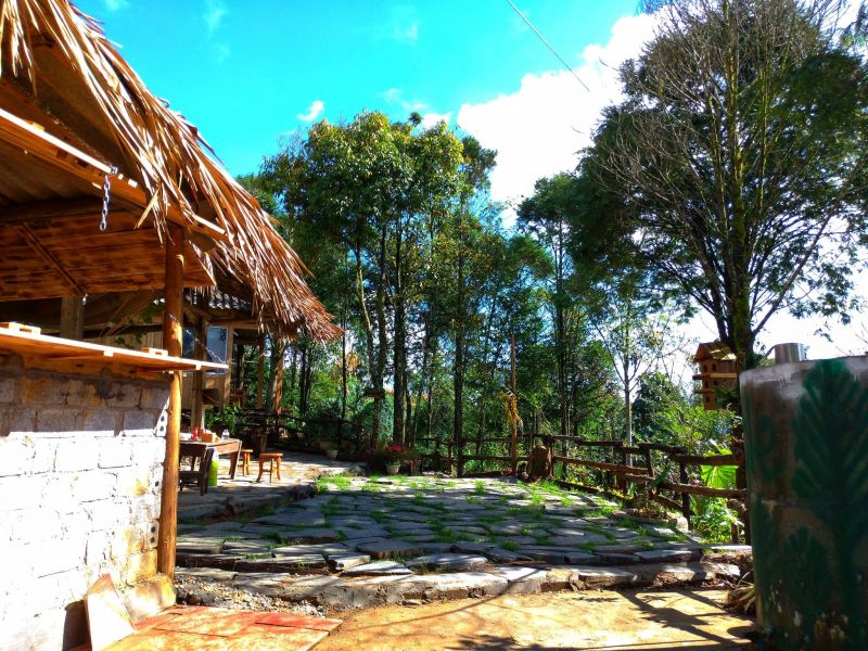 Sapa Jungle Homestay - Nhà Trên Đồi