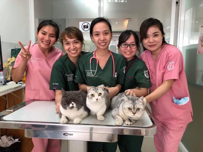 Dịch vụ spa thú cưng Sasaki Animal Hospital