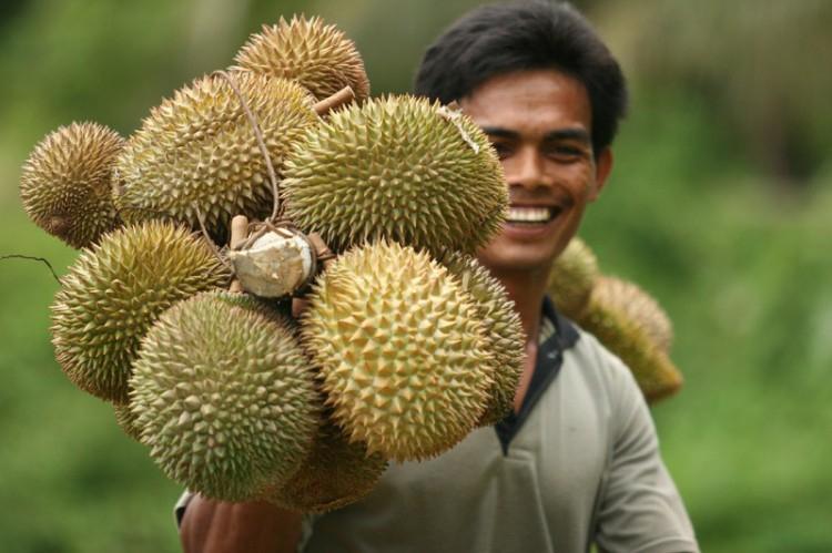 Sầu riêng cũng có lòng nhân ái, yêu thương con người