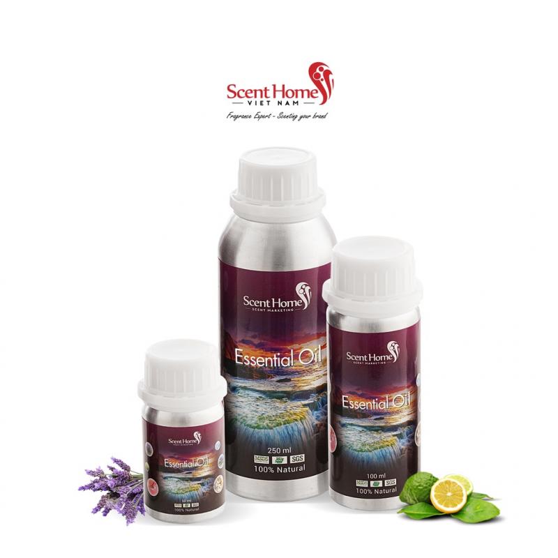 Scent Homes Việt Nam