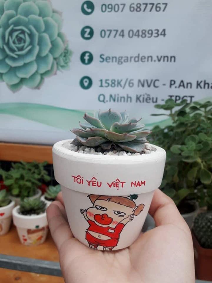 Sen Garden - Sen Đá - Tiểu Cảnh Terrarium Tp Cần Thơ