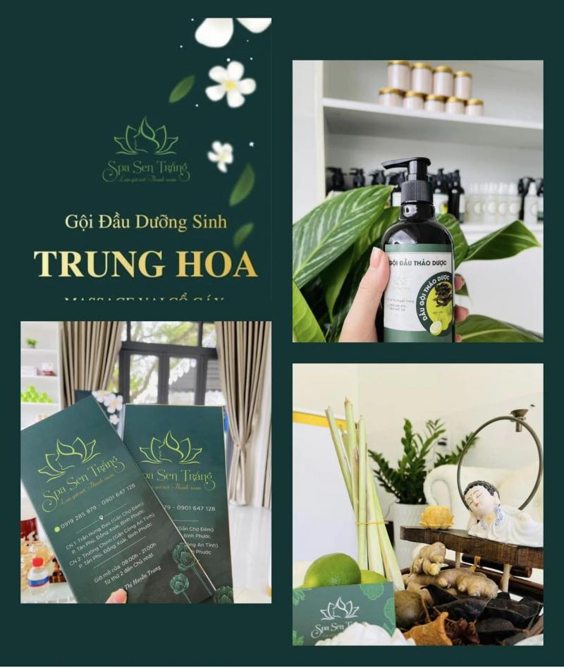 SEN TRẮNG SPA - healthy & Beauty