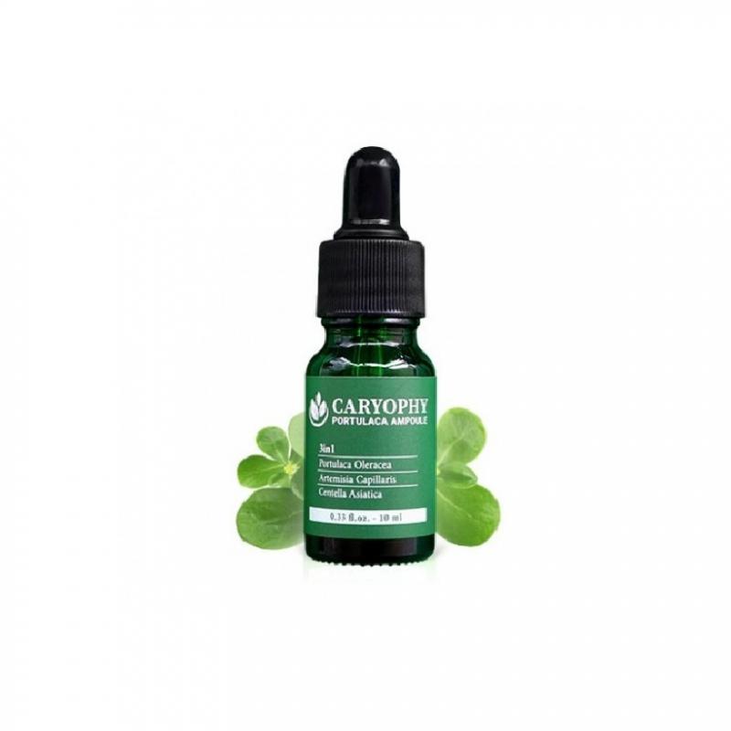 Serum rau má giảm mụn mờ thâm Caryophy Portulaca Ampoule