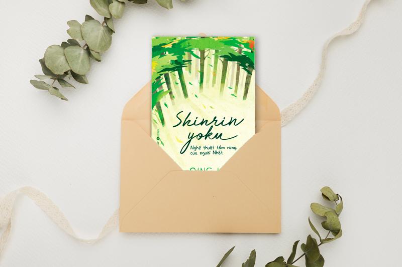 Shinrin Yoku - Nghệ thuật tắm rừng của người Nhật