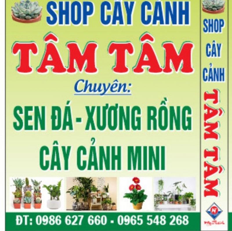 Shop Cây Cảnh Tâm Tâm