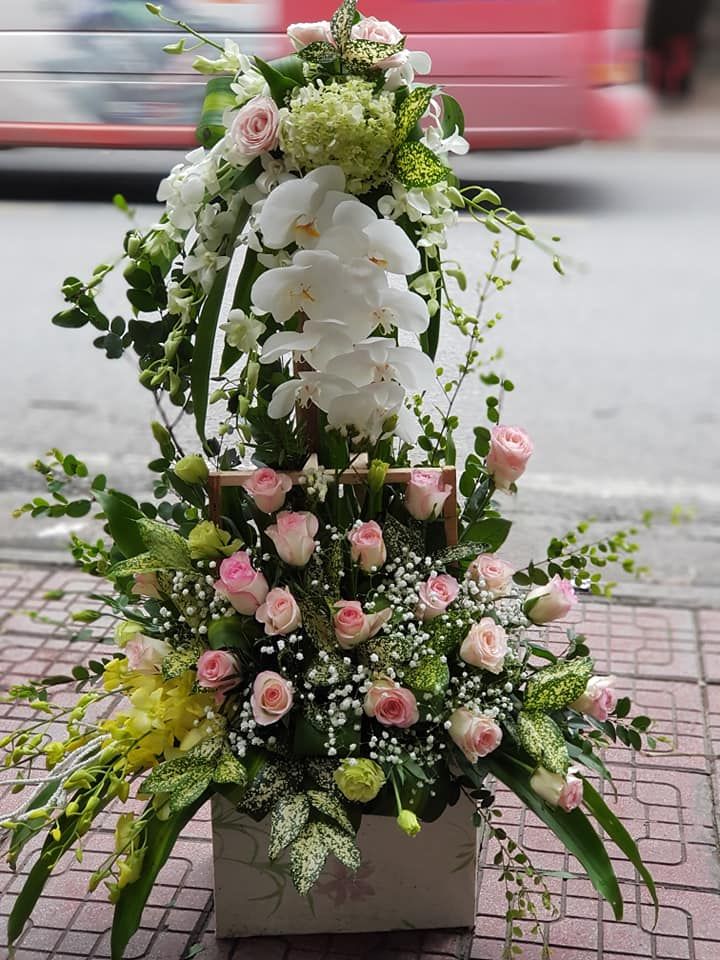Địa chỉ mua hoa tươi giá rẻ nhất tại Quảng Ninh