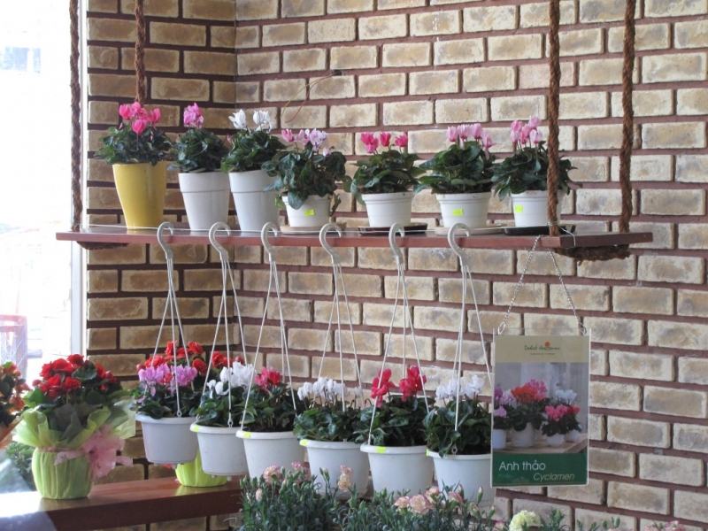 Shop hoa tươi đẹp, chất lượng nhất tại Đà Lạt