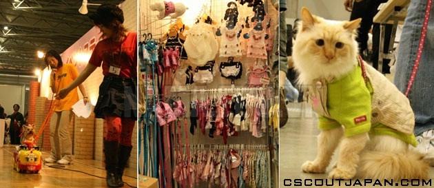 Shop bán phụ kiện thú cưng uy tín và chất lượng ở Đà Nẵng