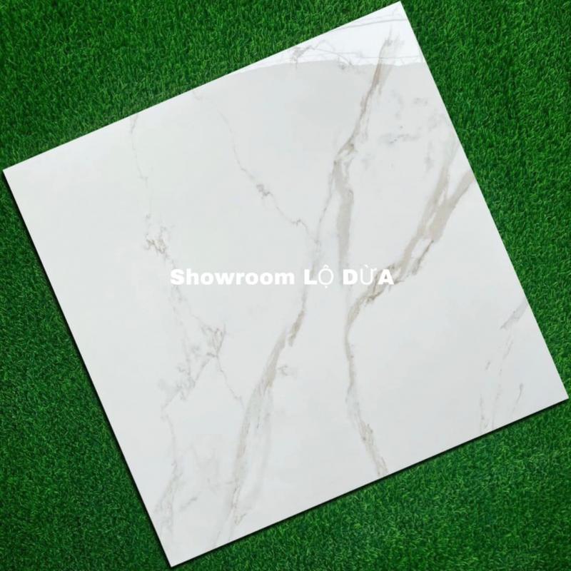 Showroom LỘ DỪA