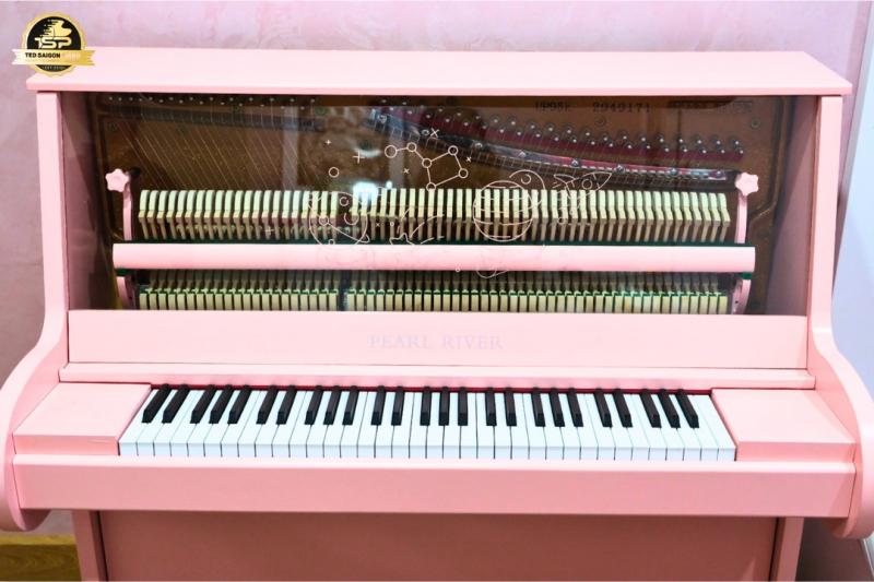 Showroom Piano TED SAIGON