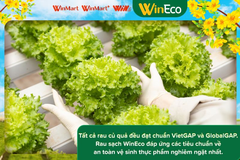 Siêu Thị WinMart