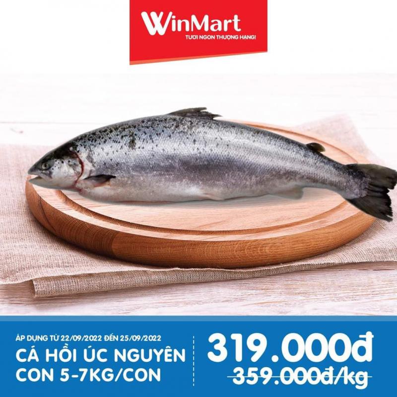 Siêu Thị WinMart