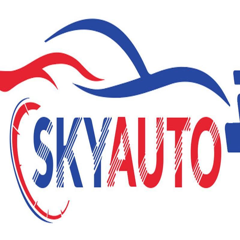 SkyAuto Việt Nam