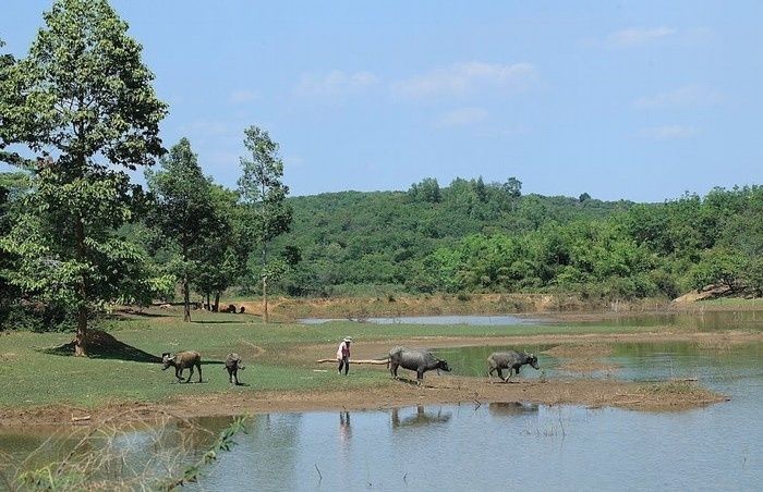 Sóc Bom Bo