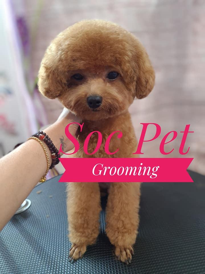 Soc Pet Grooming