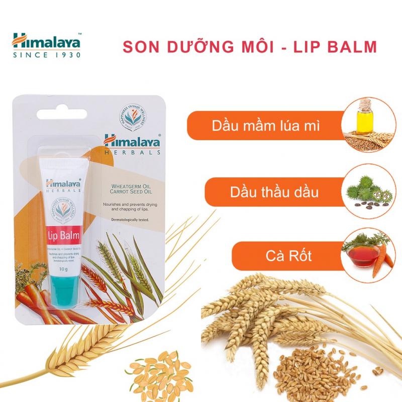 Son dưỡng Himalaya Herbals Lip Balm trị thâm