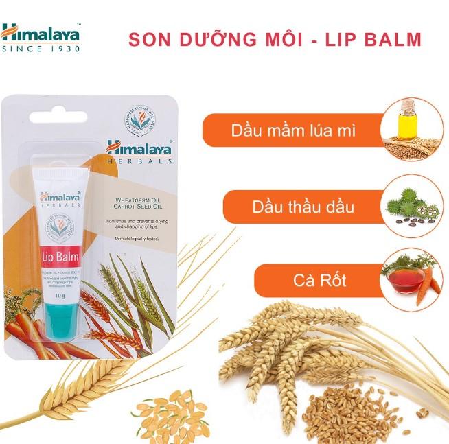 Son dưỡng hồng môi chiết xuất cà rốt Himalaya Lip Balm