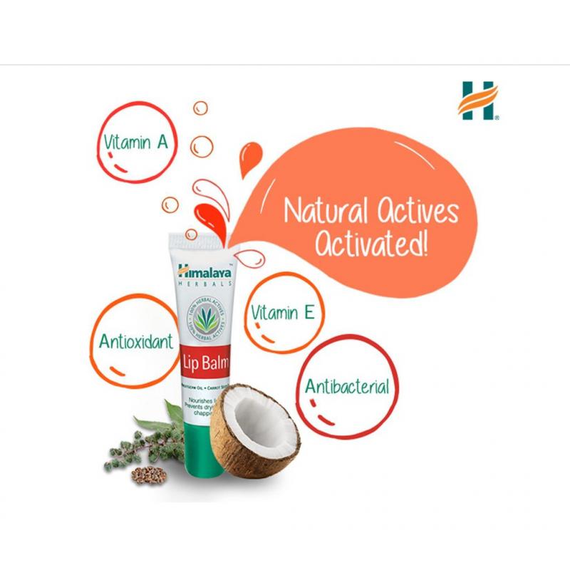 Son dưỡng hồng môi chiết xuất cà rốt Himalaya Lip Balm