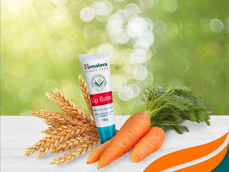 Son dưỡng môi chiết xuất từ cà rốt - Himalaya Lip Balm