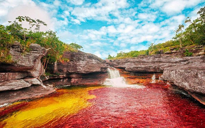 Sông Cano Cristales, Colombia