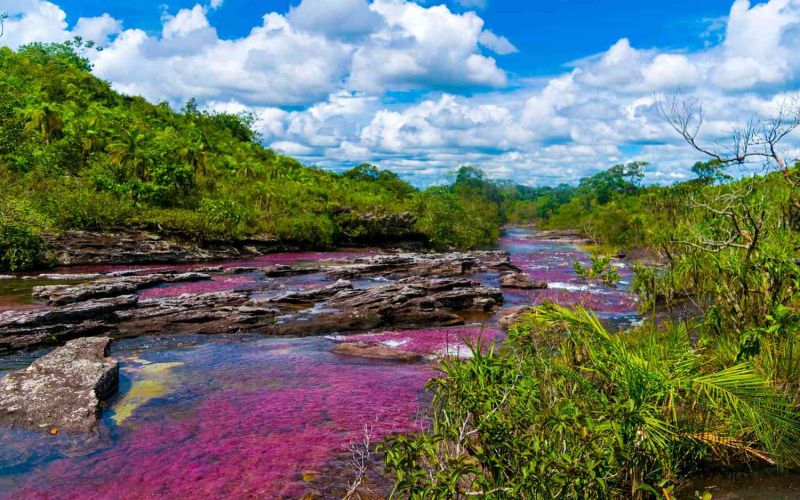 Sông Cano Cristales