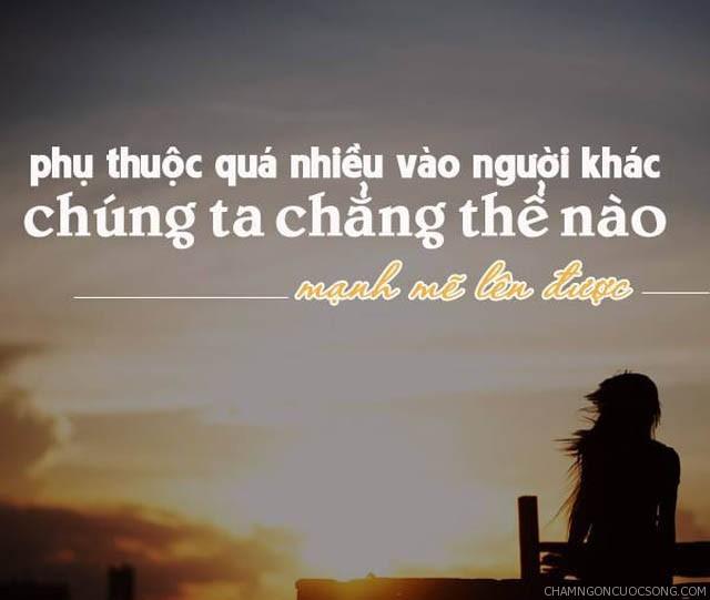 Đừng sống như cây tầm gửi, bạn nhé.